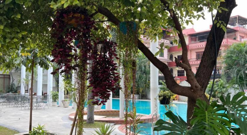Club Denovo Hotel Butwal Exterior photo