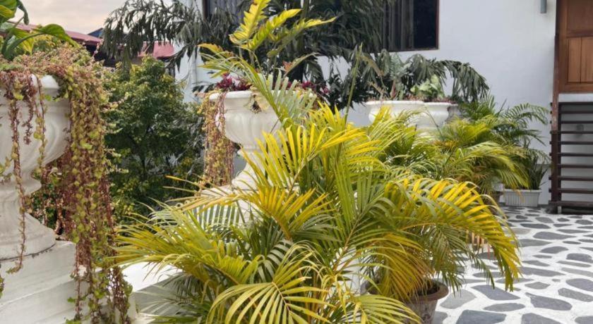 Club Denovo Hotel Butwal Exterior photo